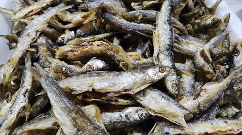 干锅鱼杂图片素材下载 食品餐饮素材下的中国菜系图片素材