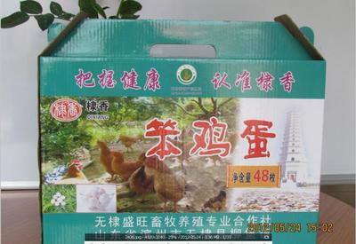 盛旺土鸡蛋 笨鸡蛋生产批发 无棣盛旺养殖山鸡蛋