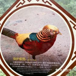 电话,地址,价格,营业时间 图 神农架林区周边游