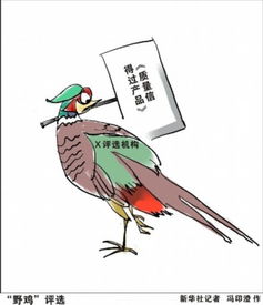 图表 漫画 野鸡 评选